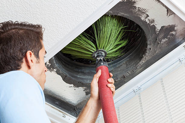 Best Ductwork Odor Removal in Rowland Heights, CA